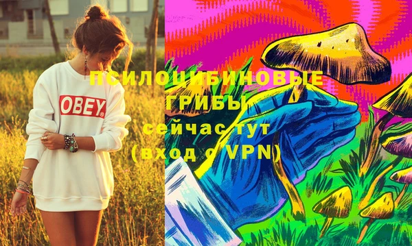 бутират Бородино