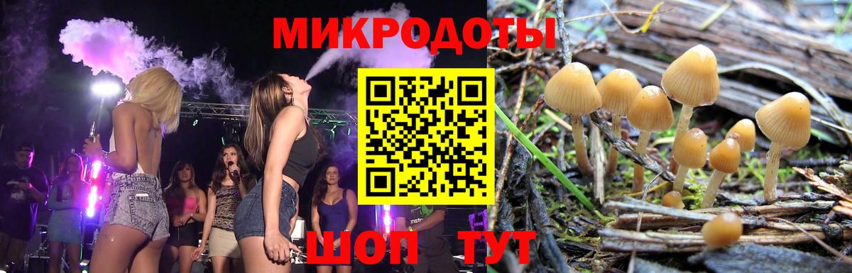 Псилоцибиновые грибы мухоморы  купить наркотик  Дальнегорск  Вход с VPN  Галлюциногенные грибы ЛСД 
